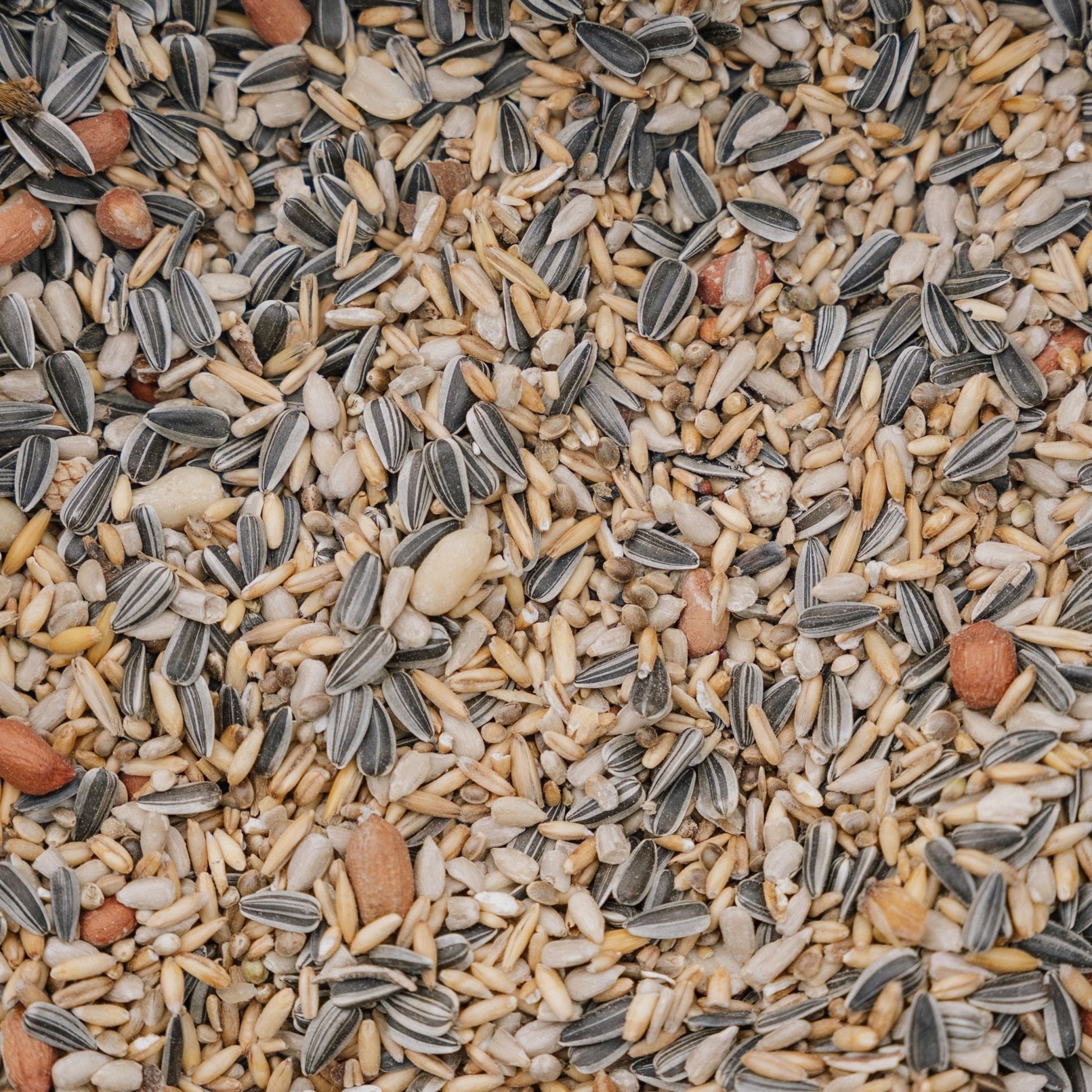 Vogelvoer, Energy de Luxe mix, 5 L