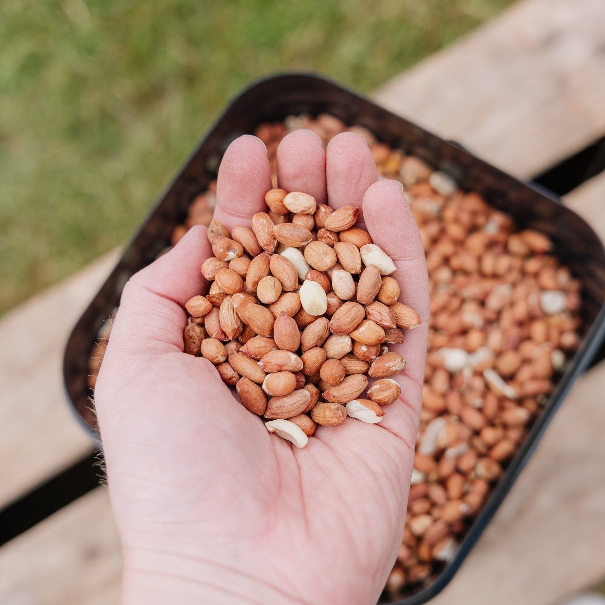 Vogelvoer, Luxe Pinda's, 5 L