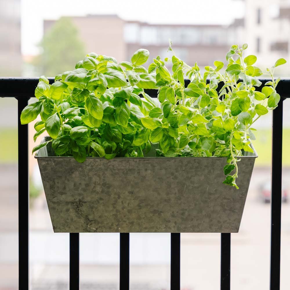 Zinken plantenbak, L: 40 cm B: 16 cm H: 16 cm