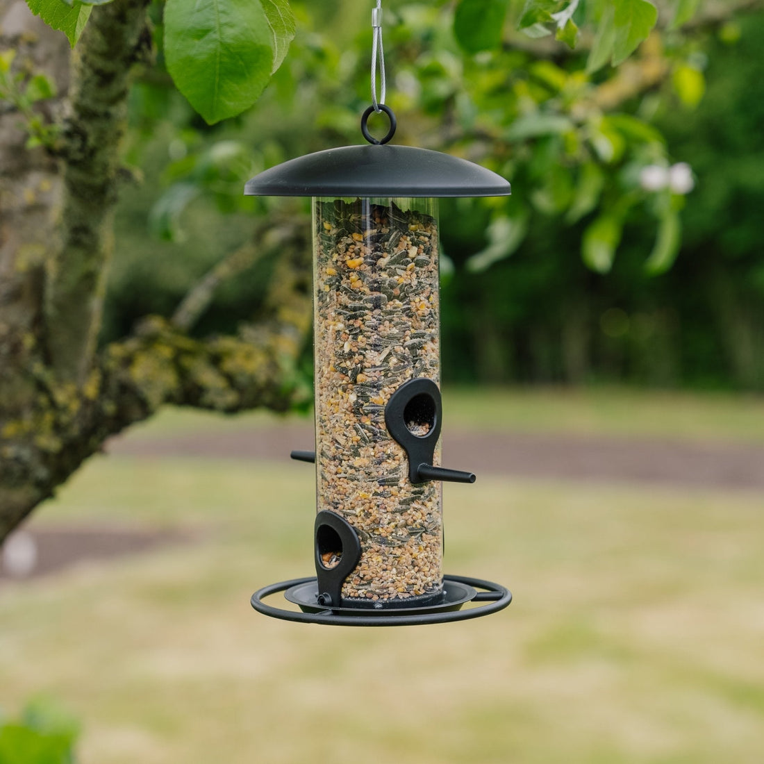 Zwarte vogelvoederautomaat, Ø: 14 cm H: 26 cm