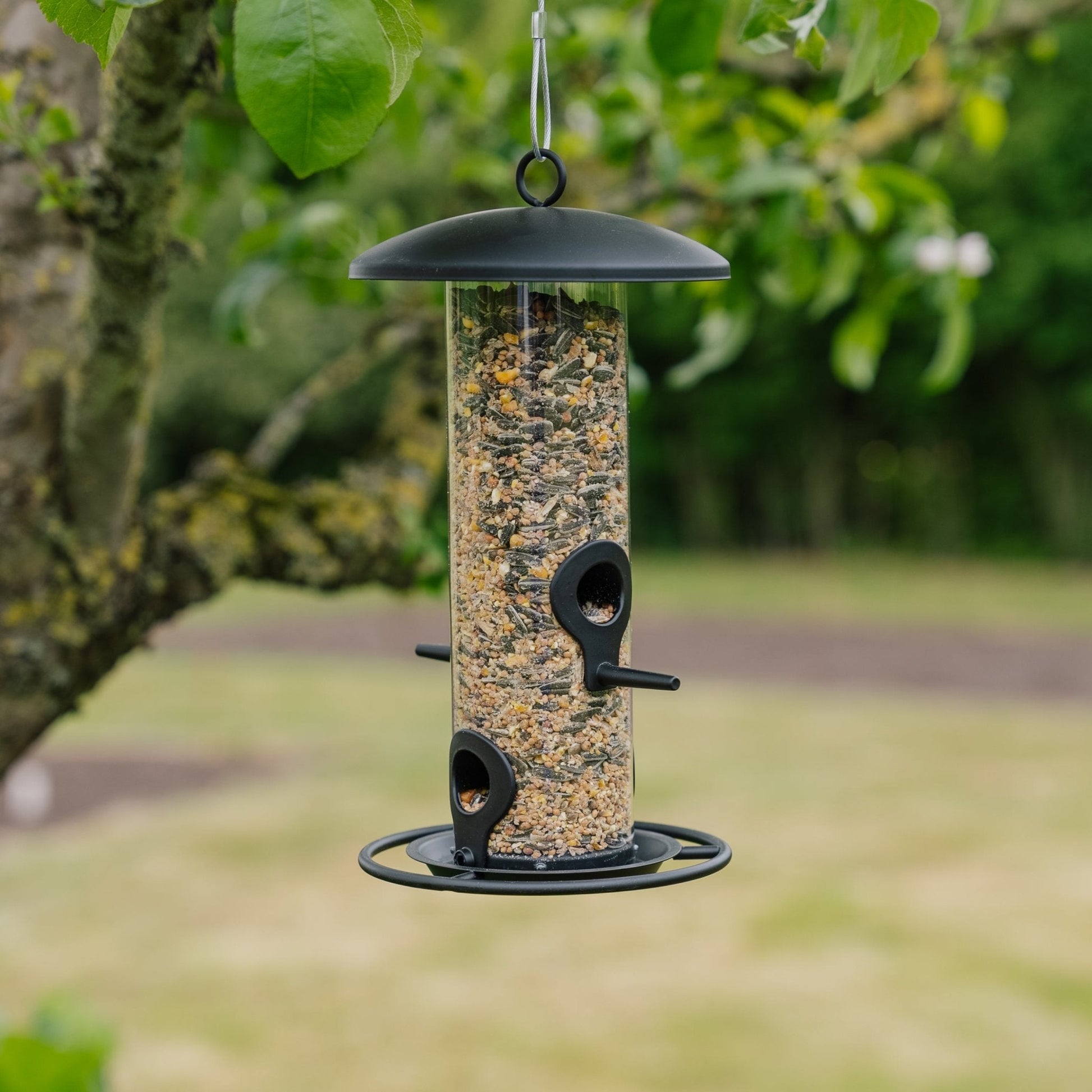 Zwarte vogelvoederautomaat, Ø: 14 cm H: 26 cm